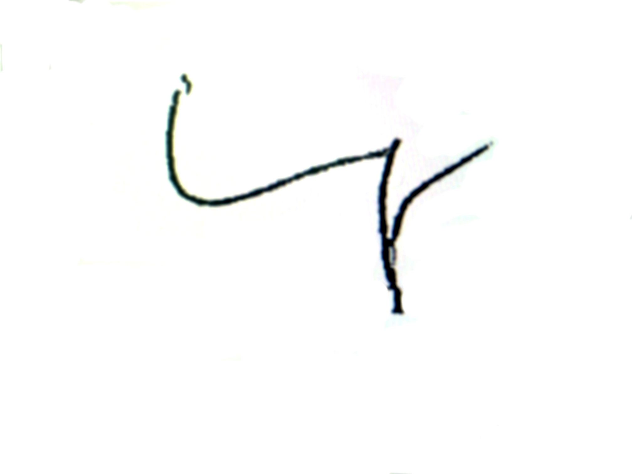 uwe mayer signature