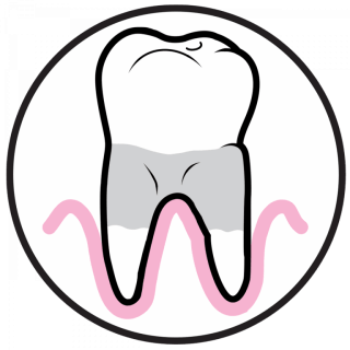 GERODONTOLOGY