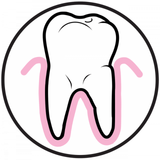 PERIODONTOLOGY