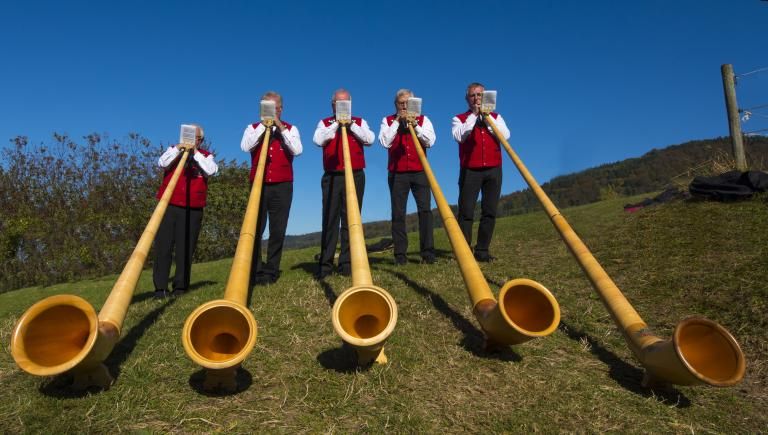 alphorn